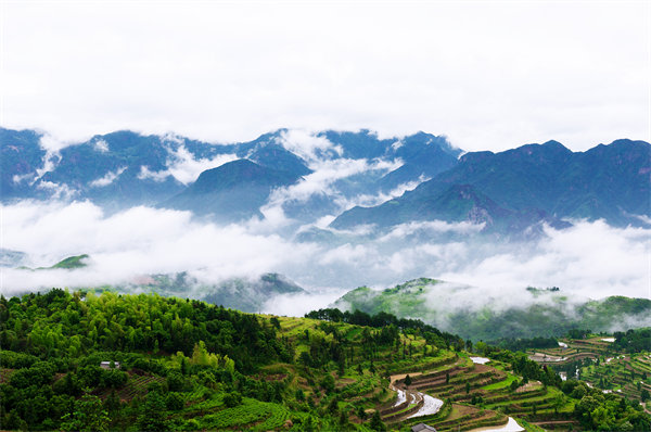 管理咨詢?nèi)绾沃刂萜髽I(yè)戰(zhàn)略規(guī)劃落地？