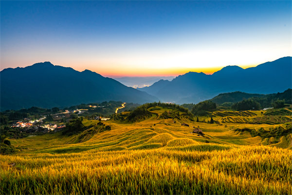 定制化管理咨詢方案：麗水企業(yè)轉(zhuǎn)型升級的鑰匙？